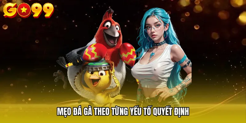 Mẹo Đá Gà - Cách Tối Ưu Chiến Thuật Trong Từng Trận Đấu 3 Mẹo đá gà theo từng yếu tố quyết định